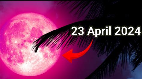 Full Pink Moon 23 April2024 This Is An Astronomical Event In 2024 23 April 2024 Pinkmoon