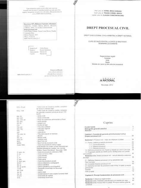 Briciu Ciobanu Drept Procesual Civil 2014 Pdf