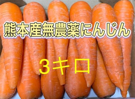 熊本産無農薬にんじん3キロ｜paypayフリマ