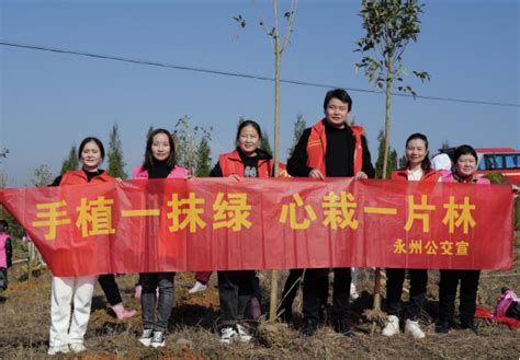 巾帼聚合力，添绿我先行——永州公交开展义务植树活动图片新闻市国资委永州市人民政府