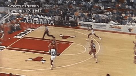 Scottie Pippen Primogif