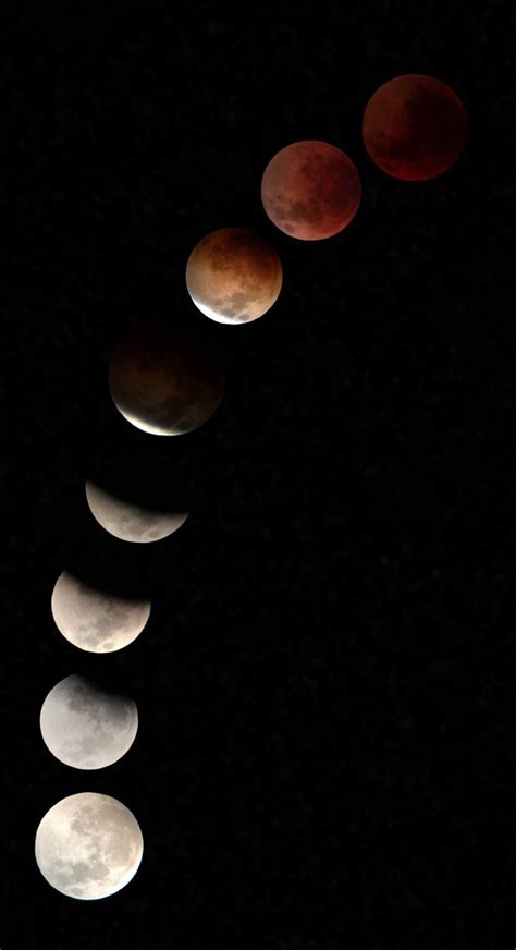 Total Lunar Eclipse Last Night R Astrophotography