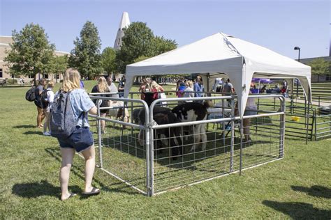 Petting Zoo 2 The Shield