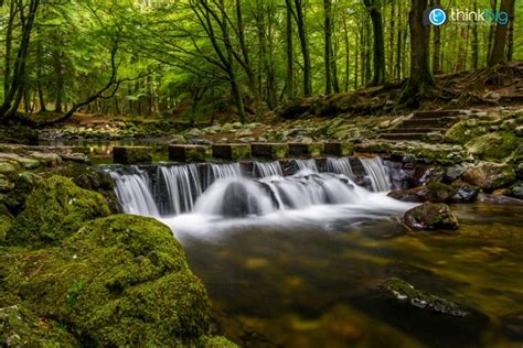 The Stepping Stones Tollymore Forest Photography Print Ireland