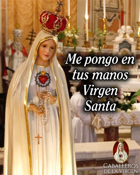 Caballeros De La Virgen On Twitter Si Ella Te Tiene De La Mano No Te