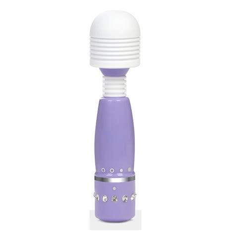 Vibrator Female Masturbator Handheld Cordless Massager Slow Fast 2