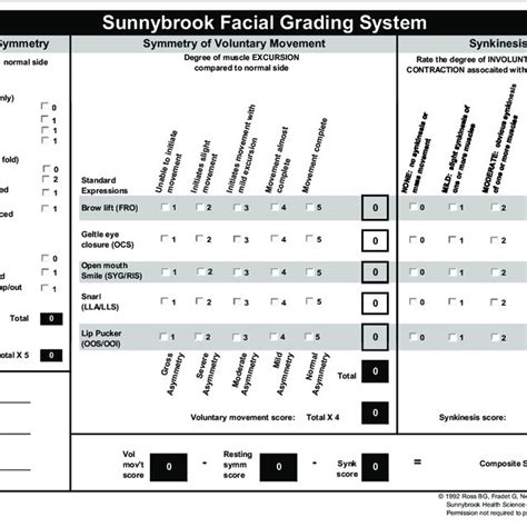 Facial Grading System Observational Scale Fgs Download Scientific