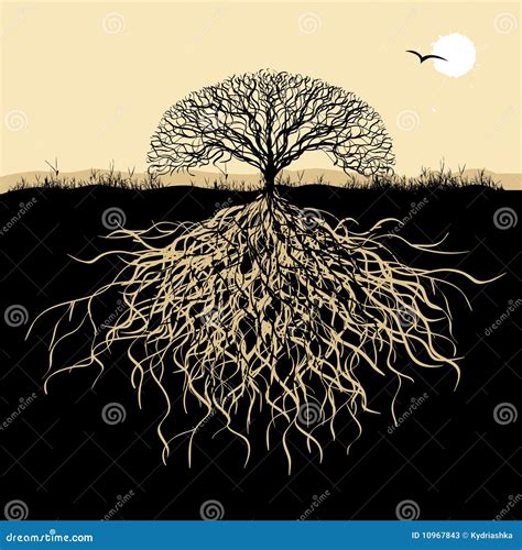 Tree silhouette with roots stock vector. Image of growth - 10967843