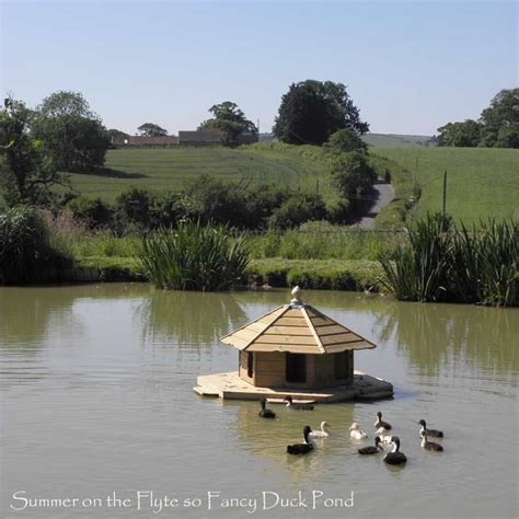 The Floating Duck Lodge Duck House Duck House Diy Farm Pond