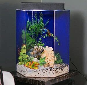 3 Best 35-gallon Hexagon Fish Tank To Purchase 2022 Reviews