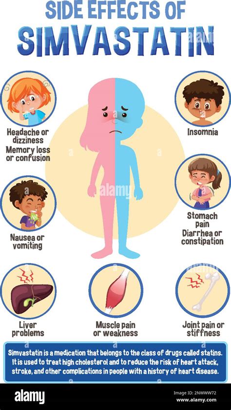 Human Anatomy Diagram Cartoon Style Of Simvastatin Side Effects