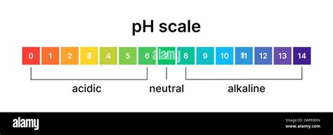 Ph Level Of Acid And Alkaline Balance Scale Indicator For Litmus Paper