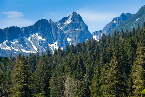 Upper Tsitika Valley Ancient Forest Alliance