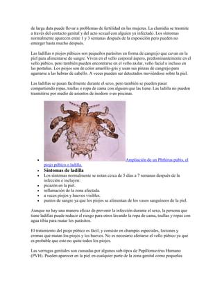 Enfermedades De Transmisi N Sexual Pdf