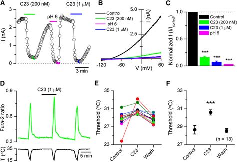 A Specific Task 3 Antagonist Shifts The Temperature Threshold Of Trpm8