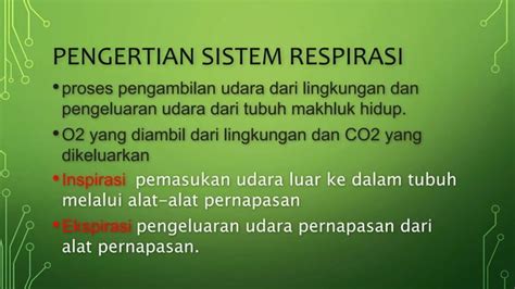 Kel 6 Sistem Respirasi Vertebrata Ppt