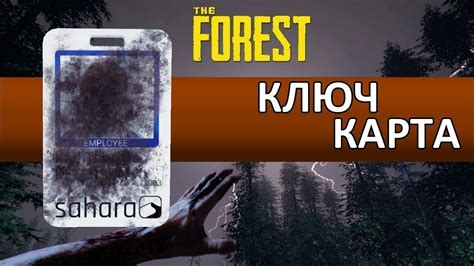 The Forest Где найти ключ карту от бункера YouTube