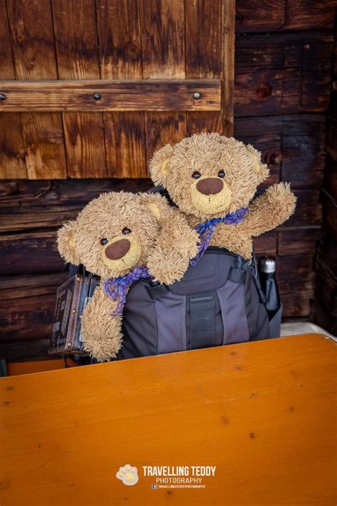 Petit Amour D Ourson Travelling Teddy Petit Ourson Ourson