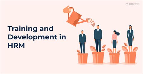 Difference Between Training And Development In Hrm Gyrus 55 Off