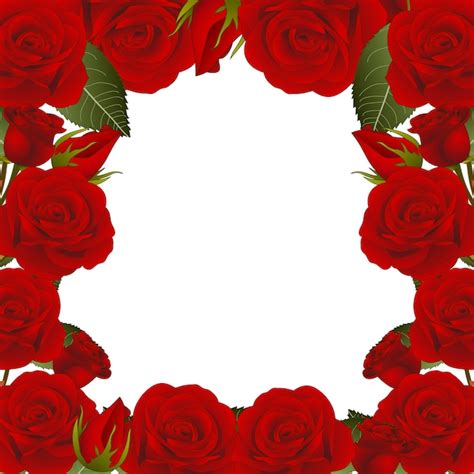 Red Rose Flower Frame Border Royalty Free Vector Image Porn Sex Picture