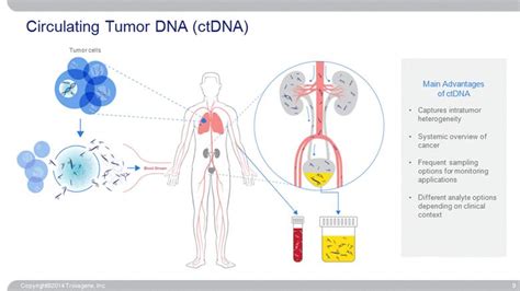 Circulating Tumor Dna Ctdna Copyright©2014 Trovagene Inc 9 Tumor