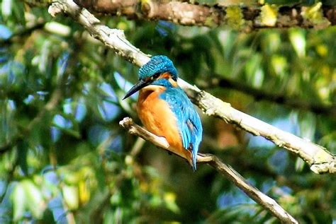 Le Parc Naturel R Gional Des Landes De Gascogne