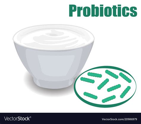 Probiotics Good Bacteria And Yogurt Royalty Free Vector