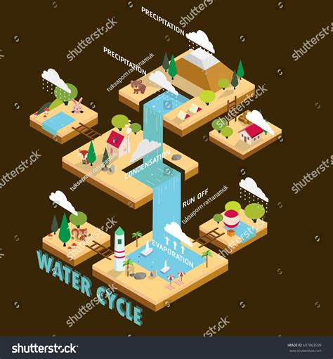 Water Cycle Information Graphic Illustration Vector Stock Vector ...