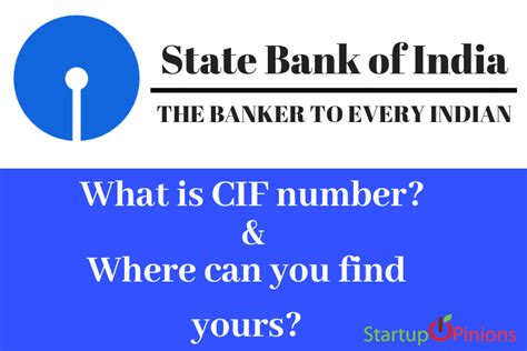 What is CIF number? Where can you find yours?