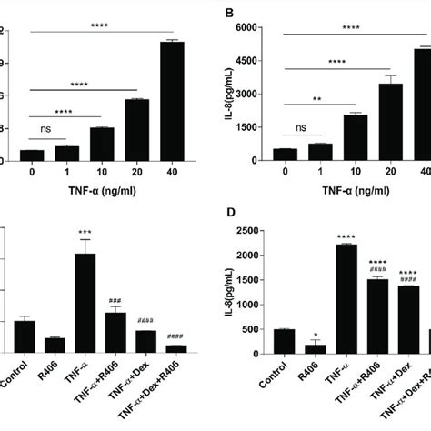 The Syk Inhibitor R Promotes The Inhibitory Effect Of