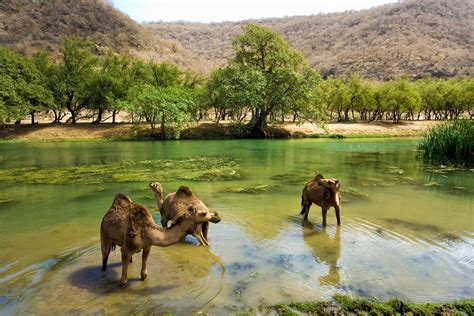 Salalah Say Goodbye To The Desert