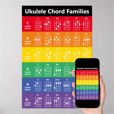 Ukulele Chord Families Rainbow White Fun Reference Poster Zazzle