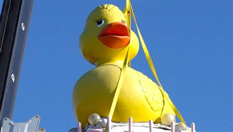 Rubber Duckie Im Awfully Fond Of You Sesame Place Fans Vote For