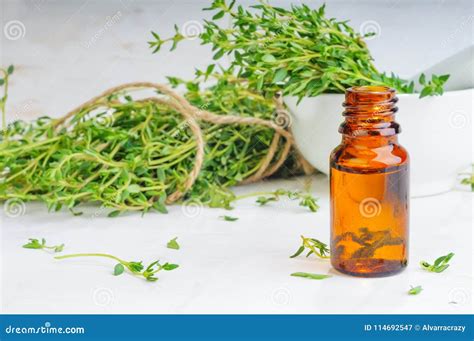 Thyme Essential Oil In Glass Bottle And Twigs Stock Image Image Of