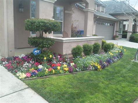 Fall & Winter Flower Beds - Landscape Makeover | Folsom & Sacramento