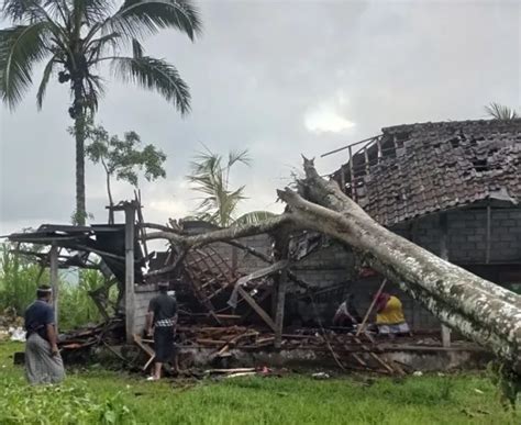 Hujan Lebat Tiba Longsor Dan Pohon Tumbang Terjang Gianyar