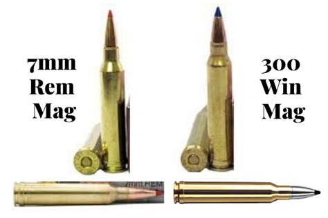 7mm Rem Mag vs 300 Win Mag – Cartridge Comparison | [January Updated]