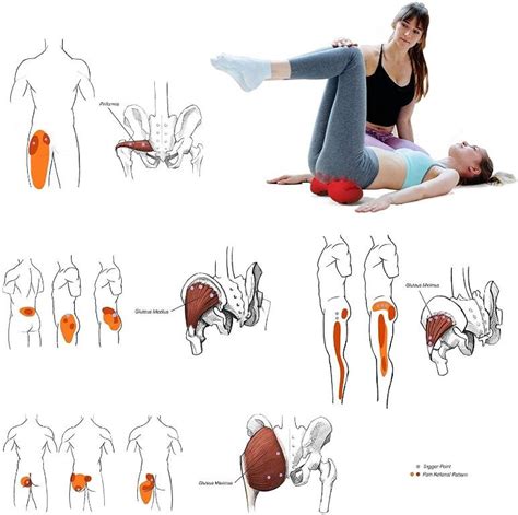 42 Littlemum Back Trigger Points Massage Psoas Release Tool Gluteus