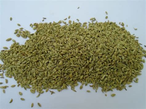 Green Fennel Seeds Packaging Type Loose At Rs Kg In Lucknow Id