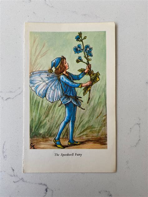 Vintage Speedwell Flower Fairies Print By Cicely Mary Barker Etsy