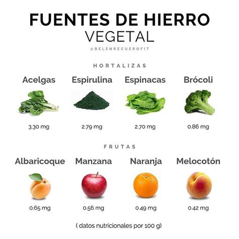 Alimentos Ricos En Hierro Origen Vegetal Verduras Y Hortalizas