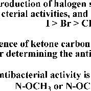 Sar For The Antibacterial Activity Of Halophenyl Oxopropanal