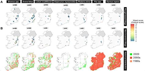 Frontiers Grass Weed Challenges Herbicide Resistance Status And Weed