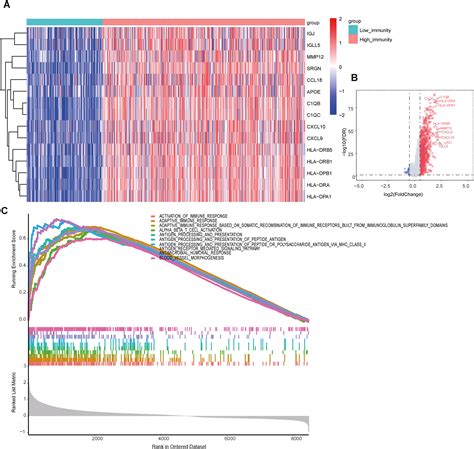 Integrative Analyses Of Multi Omics Data Constructing Tumor