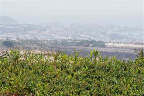 Canary Islands Weather Update Rising Temperatures And Persistent Haze