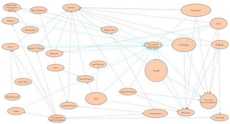 Clone Of Taiga Food Web Insight Maker