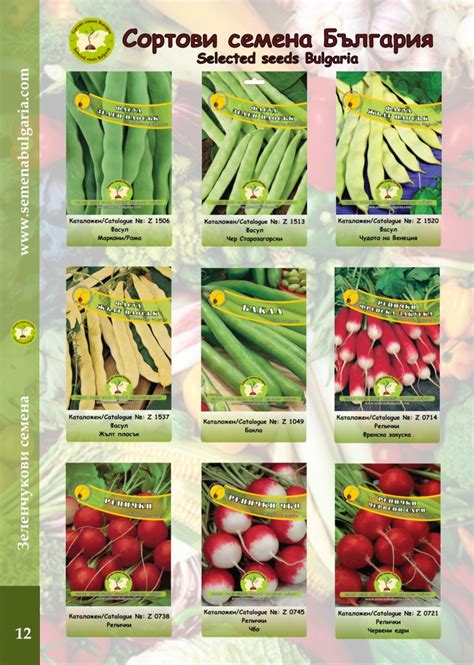 Продукти - Сортови Семена България