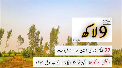 Acer Land For Sale Cheap Agricultural Land For Sale In Punjab