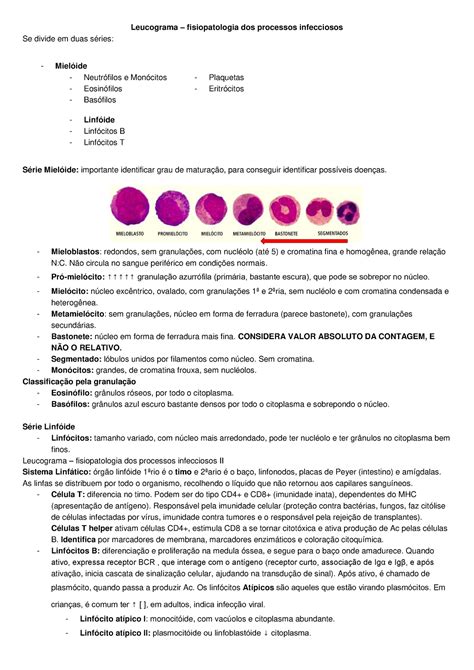 Resumo P 2 Leucograma Fisiopatologia Dos Processos Infecciosos Se