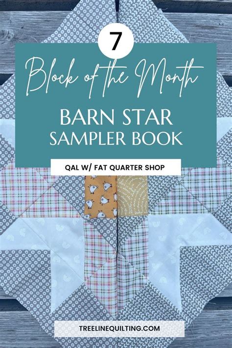 Barn Star Sampler Quilt Book By Shelley Cavanna Block 7 Book Quilt